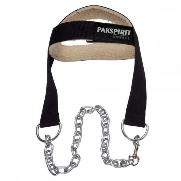 Head Harness