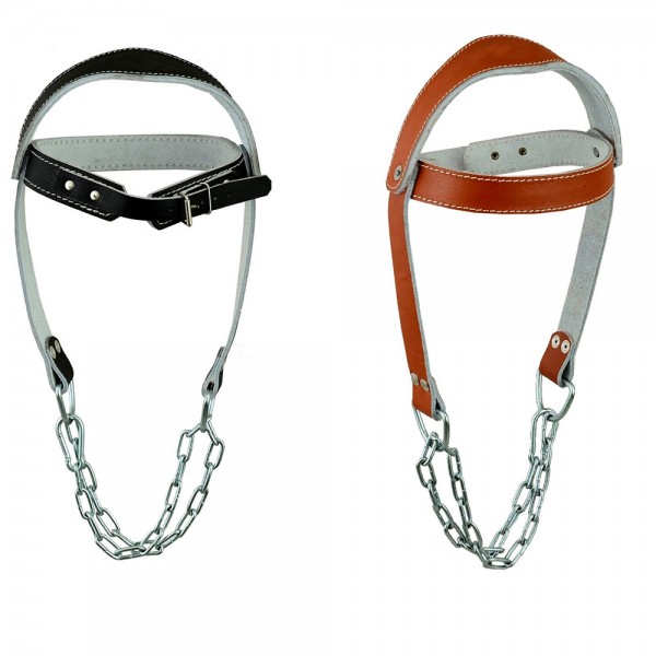 Head Harness