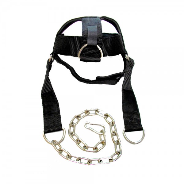 Head Harness